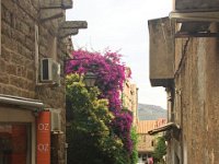 Corse juin juillet 2018 91  Porto Vecchio - Bonifacio et environs - 2018