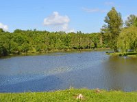 DSC0110  Lussac- les- Châteaux - Vienne - Mai 2015.