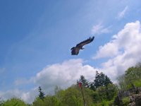 DSCN3361  Le Puy- du- Fou (85) - Mai 2012.