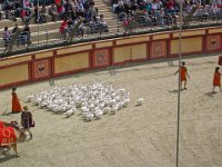 DSCN3384  Le Puy- du- Fou (85) - Mai 2012.