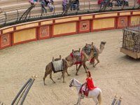 DSCN3387  Le Puy- du- Fou (85) - Mai 2012.