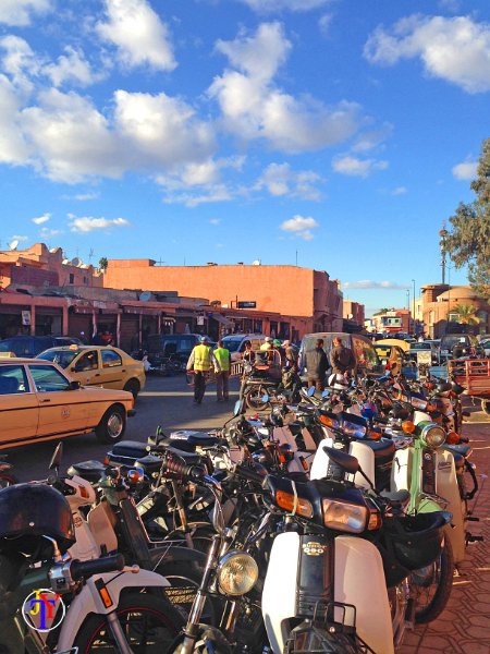 IMG1872.JPG - Marrakech - Novembre 2015.