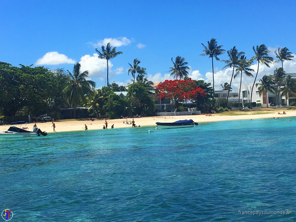 Ile Maurice Novembre 2016 16.jpg - Ile Maurice - Novembre 2016.