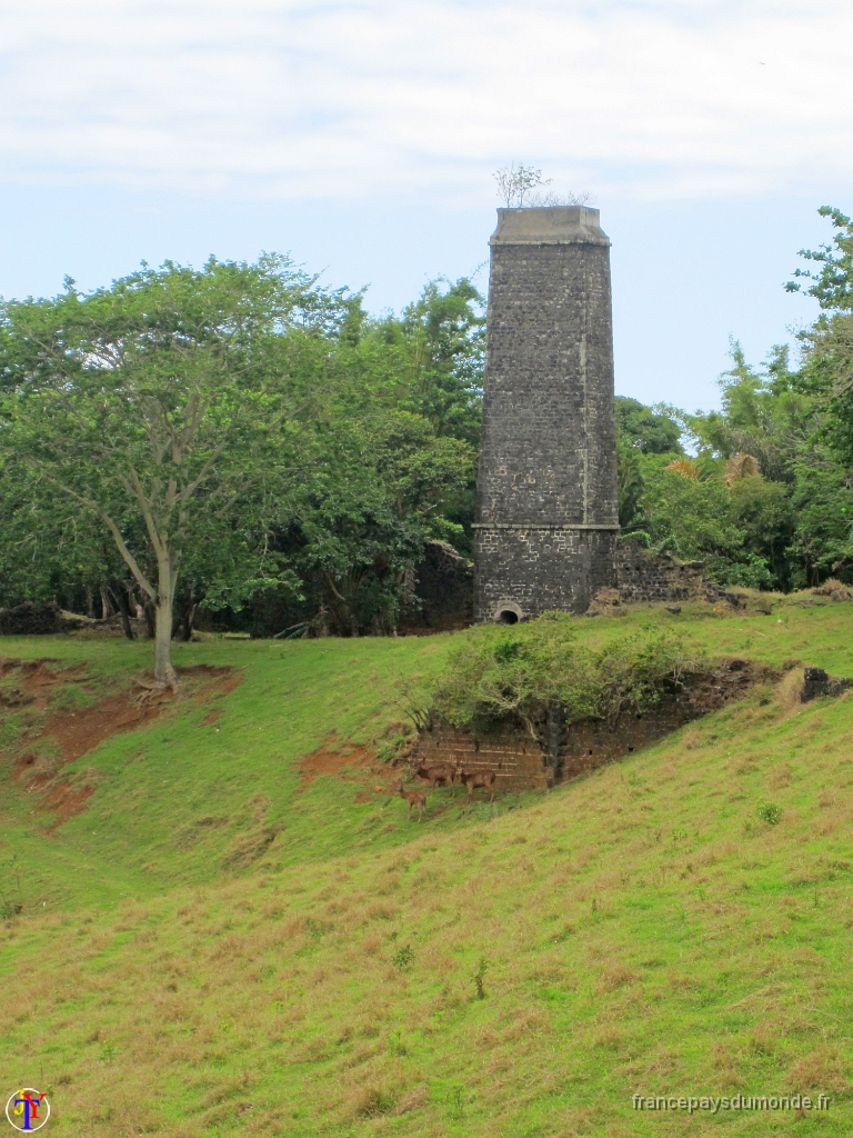 Ile Maurice Novembre 2016 40.JPG - Ile Maurice - Novembre 2016.                               