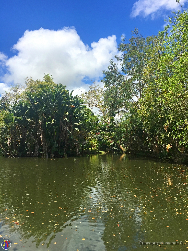 Ile Maurice Novembre 2016 72.jpg - Ile Maurice - Novembre 2016.