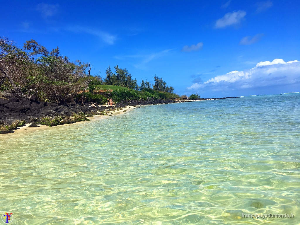 Ile Maurice Novembre 2016 83.jpg - Ile Maurice - Novembre 2016.