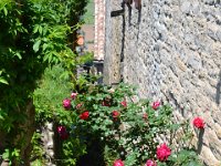 DSC 0127  Cordes sur Ciel (81)