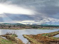 Etang Villepey 03 fevrier 2019 2  Fréjus (83) - Etangs de Villepey - 03 février 2019