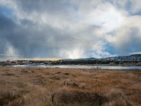 Etang Villepey 03 fevrier 2019 21  Fréjus (83) - Etangs de Villepey - 03 février 2019