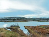 Etang Villepey 03 fevrier 2019 26  Fréjus (83) - Etangs de Villepey - 03 février 2019