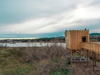 Etang Villepey 03 fevrier 2019 32  Fréjus (83) - Etangs de Villepey - 03 février 2019