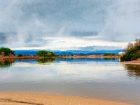 Etang Villepey 03 fevrier 2019 5  Fréjus (83) - Etangs de Villepey - 03 février 2019