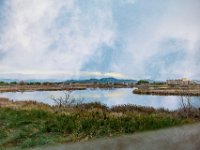 Etang Villepey 03 fevrier 2019 9  Fréjus (83) - Etangs de Villepey - 03 février 2019