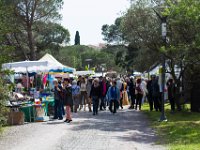 sans titre0058  Fête des plantes - 31 mars 1er & 2 avril 2017.