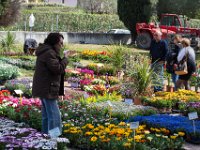 sans titre0060  Fête des plantes - 31 mars 1er & 2 avril 2017.