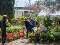 sans titre0086  Fête des plantes - 31 mars 1er & 2 avril 2017.