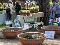 sans titre0102  Fête des plantes - 31 mars 1er & 2 avril 2017.