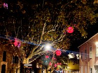 illuminations Frejus 16 12 22 9  Rue Cardinal Fleury