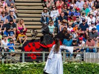 Bal des oiseaux fantomes 16  Puy du Fou (85) - Bal des oiseaux fantomes - Mai 2019