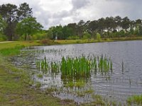 Romainville 11 mai 2013 18  Lac de Romainville. Mai 2013