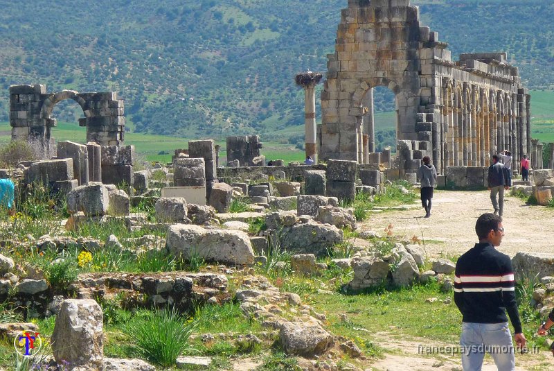 P1030745.JPG - Volubilis - 2012