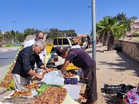 Oran - Vente de dattes à Canastel - 2023