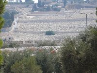 cimetière juif du Mont des Oliviers,  pris du Mont du Temple