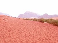 Jordanie Desert de Wadi Rum