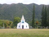 Eglise de Touaourou  Nouvelle Caledonie   Les pins colonnaires