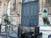 Lions de l'hôtel de ville de Paris, par Auguste Cain. Ils rappellent nos braves lions de la mairie d'Oran par A. Cain. Le 10 novembre 2013
