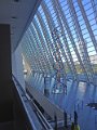 IMG 2341