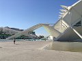 IMG 3741
