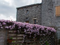 La Cavalerie mai 2019 19  La Cavalerie (12) - Mai 2019