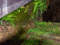 Roquefort mai 2019 12  Roquefort (12) - Le village et les caves - Mai 2019