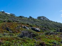 Cap des Medes 11  81  - Porquerolles (Hyères) - 83 - Cap des Mèdes