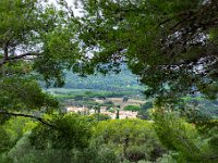 Interieur de l ile  139  - Porquerolles (Hyères) - 83 - Vue de l'intérieur de l'Ile sepuis le Fort sainte Agathe