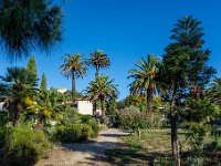 Jardin Emmanuel Lopez 5  56  - Porquerolles (Hyères) - 83 - Jardin Emmanuel Lopez