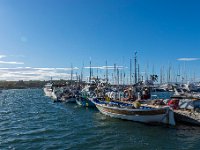 Le port 1  09  - Porquerolles (Hyères) - 83 -  Le port