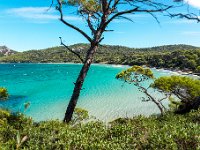 Plage Notre Dame 3 bis  70 2 - Porquerolles (Hyères) - 83 - Plage Notre Dame sous mistral