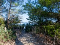 Plage d Argent 2  127  - Porquerolles (Hyères) - 83 - Plage d'Argent