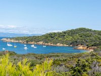 Plage du Langoustier 6  153  - Porquerolles (Hyères) - 83 - Plage du Langoustier