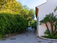 Rues de Porquerolles 4  31 - Porquerolles (Hyères) - 83 - Rue du village