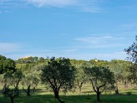 Sur les chemins 3  141  - Porquerolles (Hyères) - 83 - Sur les chemins, le moulin du Bonheur et le Fort Sainte Agathe