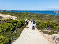 Sur les chemins 4  175  - Porquerolles (Hyères) - 83 -  Sur les chemins