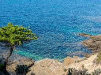 Vers le cap Rousset 2  122  - Porquerolles (Hyères) - 83 - Vers le cap Rousset