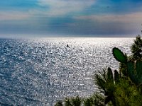 Vu depuis le site du Phare 1  115  - Porquerolles (Hyères) - 83 - Vue depuis le site du Phare