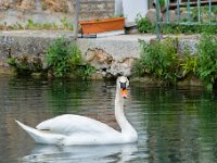 La Malene vers Peyre (12) Gorges du Tarn - Mai 2019