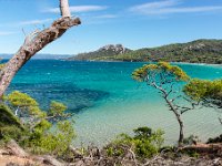 70 1 - Porquerolles (Hyères) - 83 - Plage Notre Dame sous mistral