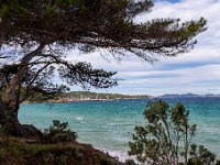 73  - Porquerolles (Hyères) - 83 - Plage Notre Dame sous mistral