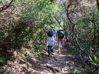 176  - Porquerolles (Hyères) - 83 -  Sur les chemins